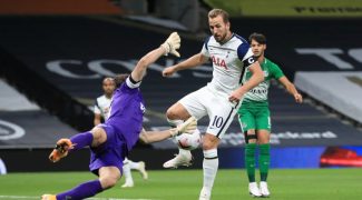 kane-un-cador-anglais-pret-a-mettre-100-me