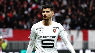 mercato-rennes-terrier-a-tranche-pour-son-avenir