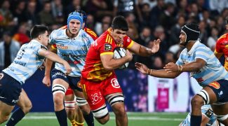 un-puma-prolonge-un-springbok-vers-la-sortie