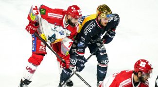 ligue-magnus-grenoble-a-un-pas-du-titre